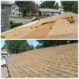 Roof Shingles